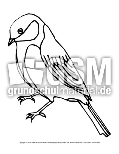 Ausmalbild-Kohlmeise.pdf